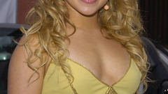 Blondes woman Actress hayden