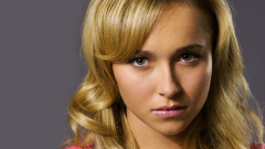 Blondes woman Actress hayden