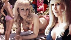 Blondes woman Barbara Eden