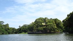 Blondes woman nature