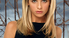 Blondes woman Sarah Michelle