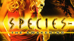 Blondes Women Movies Actress