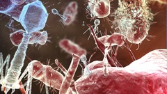 Blood AIDS microscopic organ