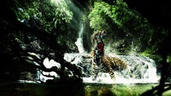 Blood Animals monkeys Leopards