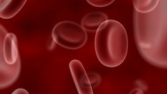 Blood biology