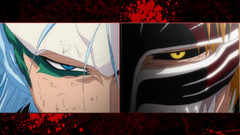 Blood bleach kurosaki ichigo