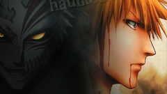 Blood bleach kurosaki ichigo