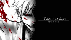 Blood bleach kurosaki ichigo Hollow Ichigo