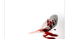 Blood flower artwork Art