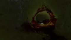 Blood half-life tunnels half-life