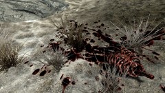 Blood the elder scrolls v skyrim