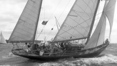 Bloodhound 1964 high