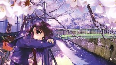 Blossom school uniforms misaki kurehito cherry blossoms