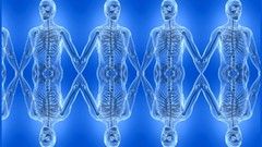 Blue anatomy human human