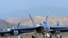 Blue angels