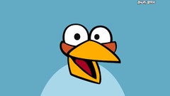 Blue angry birds Simple Background