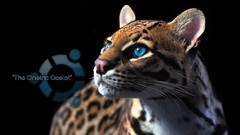 Blue Animals ocelots