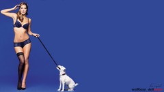 Blue background stockings models bar refaeli