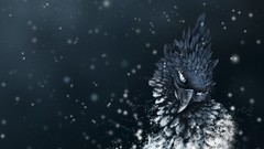 Blue Birds feathers sparks monochrome artwork