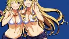 Blue blondes long hair braids infinite stratos wink cleavage 