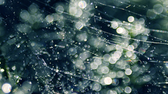 Blue bokeh high Resolution