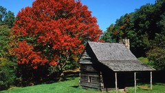 Blue brown cabin north carolina jesse parkway