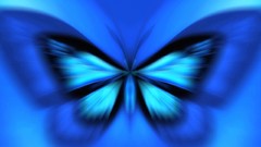 Blue Butterflies