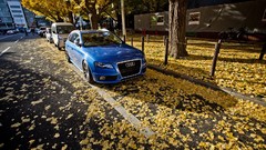 Blue cars avant Audi S4