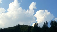 Blue clouds forests skyscapes