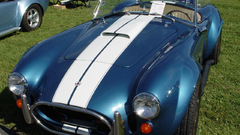 Blue cobra Fuck Shelby yeah 427