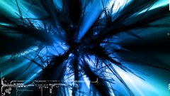 Blue dream wire Takers