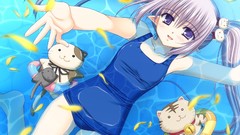 Blue eyes Primula (Shuffle!)