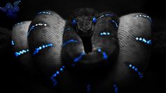 Blue eyes snakes razer