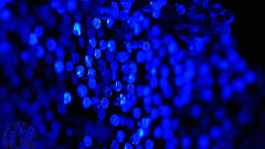 Blue fiber light abstract