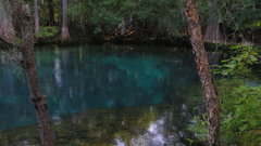 Blue forests ponds
