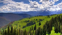 Blue Green fields skies