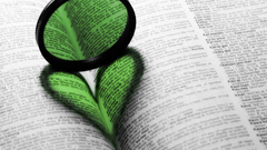 Blue Green heart Good looks too