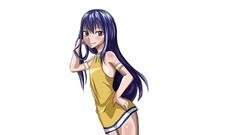 Blue hair long hair brown eyes fairy tail Simple Background 