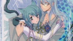 Blue hair loveless cat