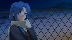 Blue hair toradora kawashima ami purple eyes Chain Link Fence