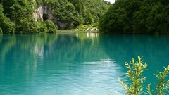 Blue Landscapes nature forests