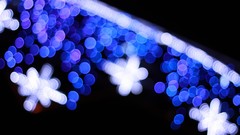 Blue lights Christmas bokeh