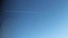 Blue microsoft windows