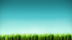 Blue minimalistic grass