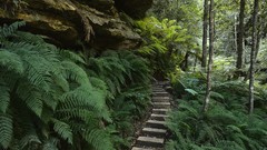 Blue Mountains Australia national park new south wales