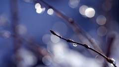 Blue nature water drops