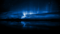 Blue night Stars forests