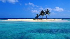 Blue ocean Trees Sea