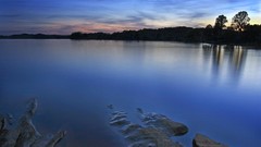 Blue ocean winter Trees