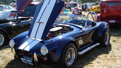 Blue one Last cobra high Resolution